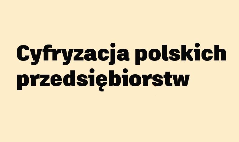 Stan cyfryzacji polskich przedsiębiorstw